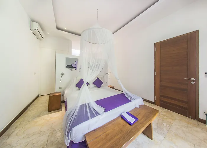 Anema Seminyak Villa *